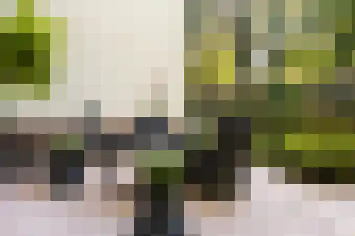 Vorstenhof 32 Apeldoorn thumbnail 28