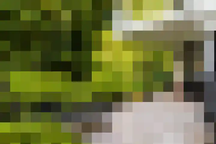 Vorstenhof 32 Apeldoorn thumbnail 29
