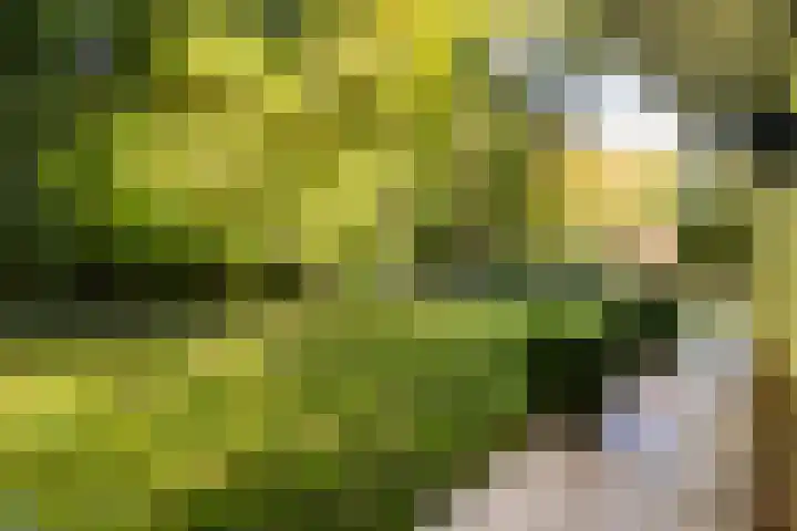 Vorstenhof 32 Apeldoorn thumbnail 30