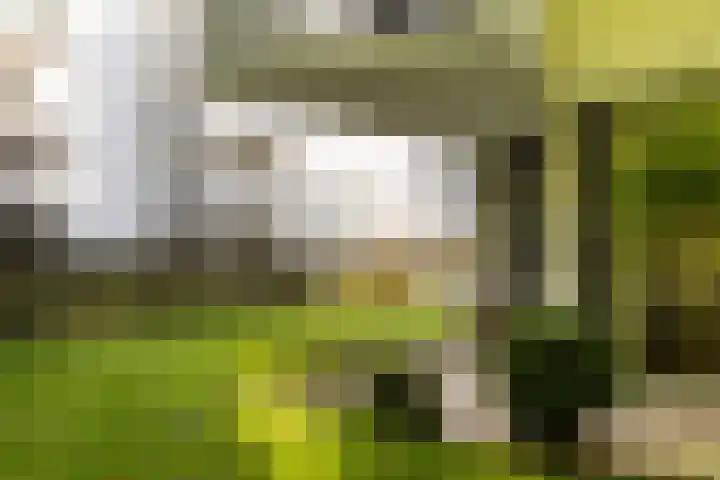 Vorstenhof 32 Apeldoorn thumbnail 31