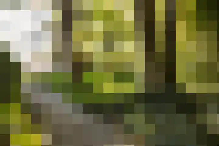 Vorstenhof 32 Apeldoorn thumbnail 32