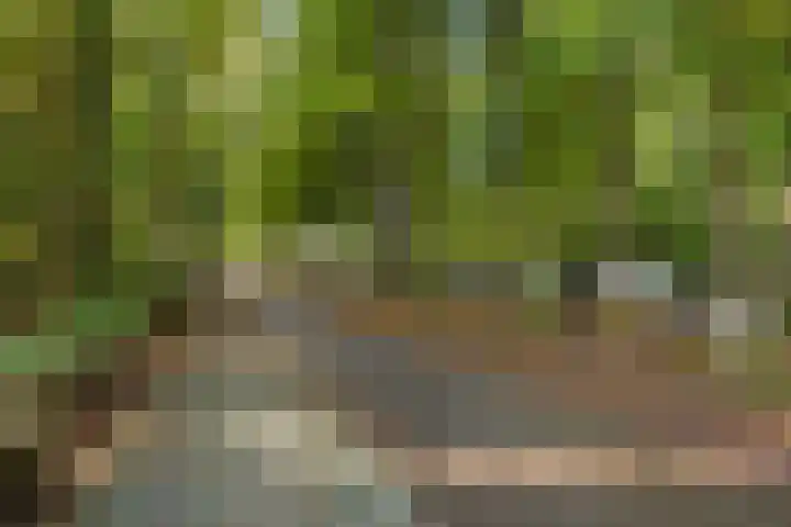 Vorstenhof 32 Apeldoorn thumbnail 33