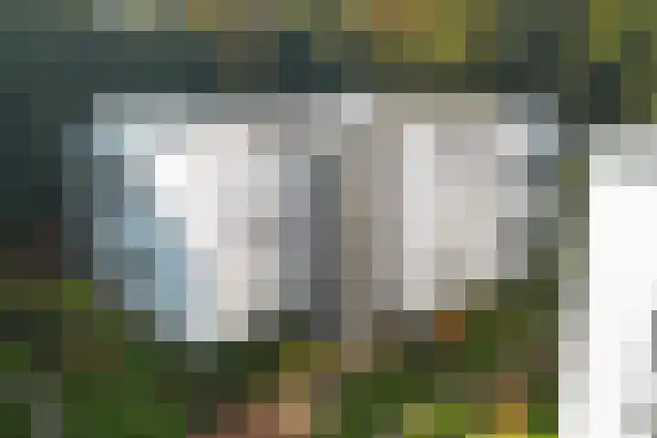 Vorstenhof 32 Apeldoorn thumbnail 36