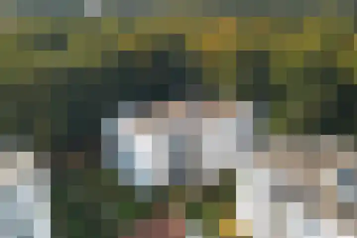 Vorstenhof 32 Apeldoorn thumbnail 37