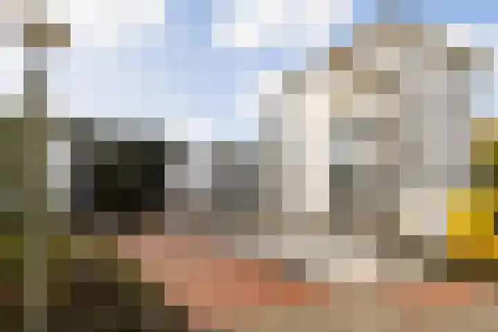 Vorstenhof 32 Apeldoorn thumbnail 4