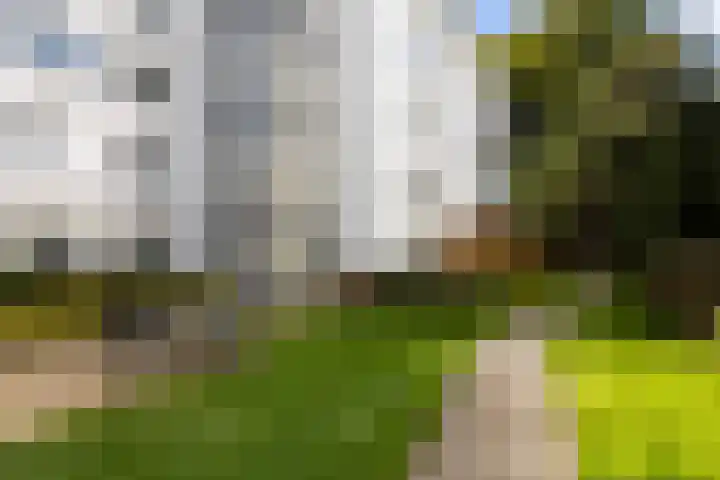 Vorstenhof 32 Apeldoorn thumbnail 8