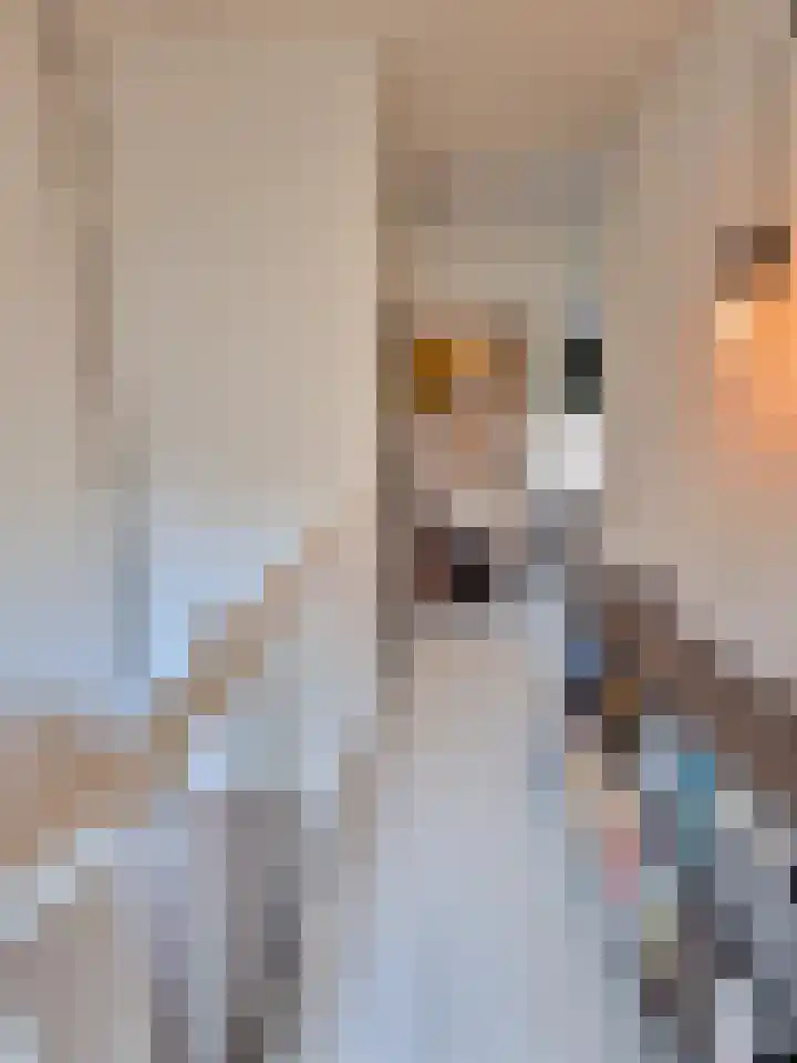 Vorstenstraat 6 Heerlen thumbnail 12