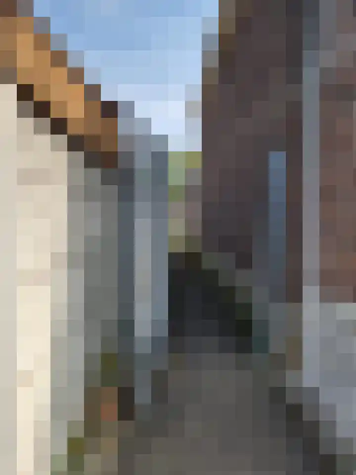 Vorstenstraat 6 Heerlen thumbnail 31