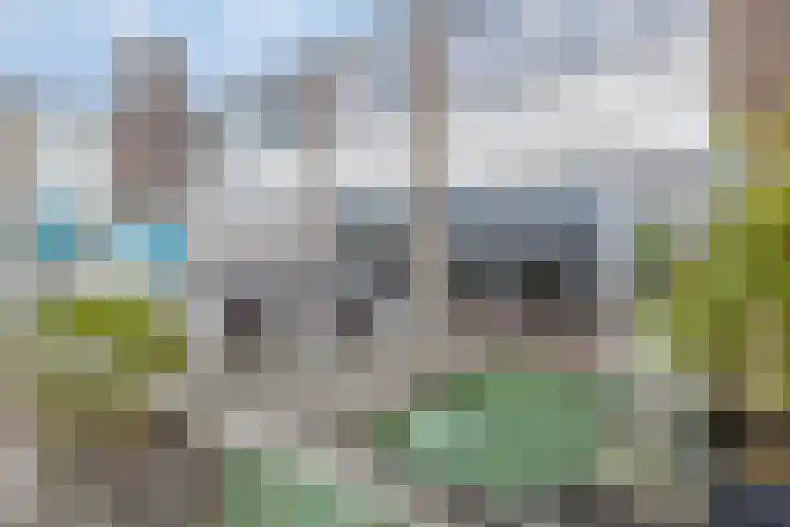 Vorsterdijk 10 Nuenen thumbnail 31