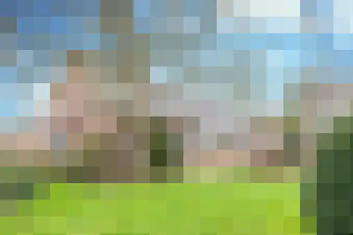 Vorsterdijk 10 Nuenen thumbnail 37
