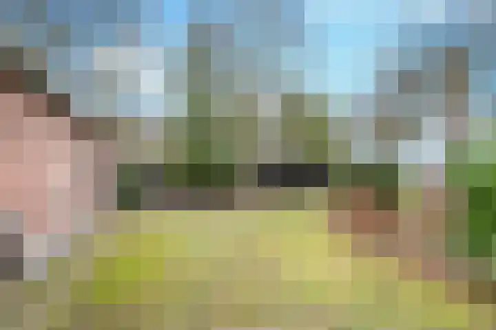 Vorsterdijk 10 Nuenen thumbnail 43