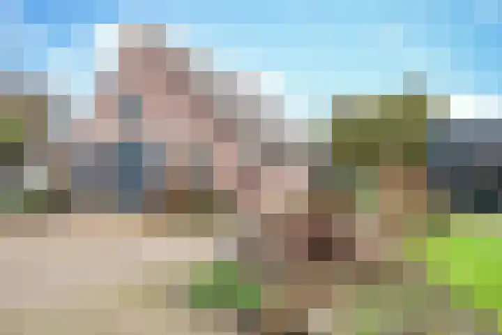 Vorsterdijk 10 Nuenen thumbnail 46