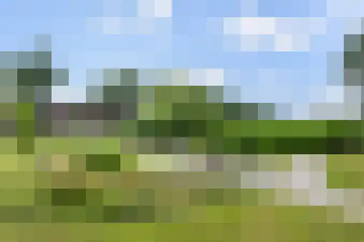 Vorsterdijk 10 Nuenen thumbnail 6