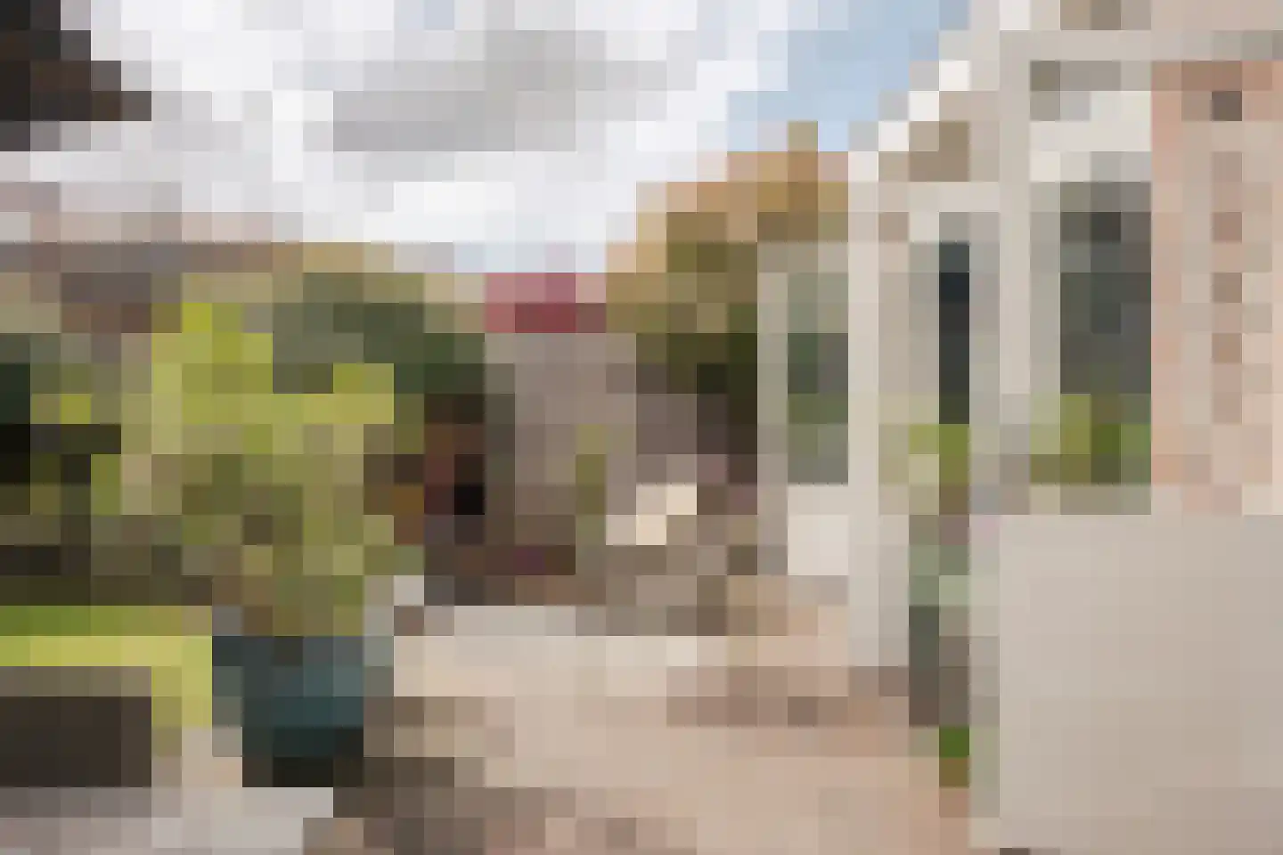 Vorsterman van Oyenstraat 5 Haarlem thumbnail 22