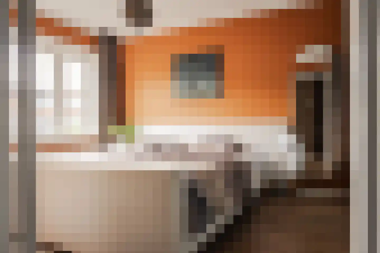 Vorsterman van Oyenstraat 5 Haarlem thumbnail 30