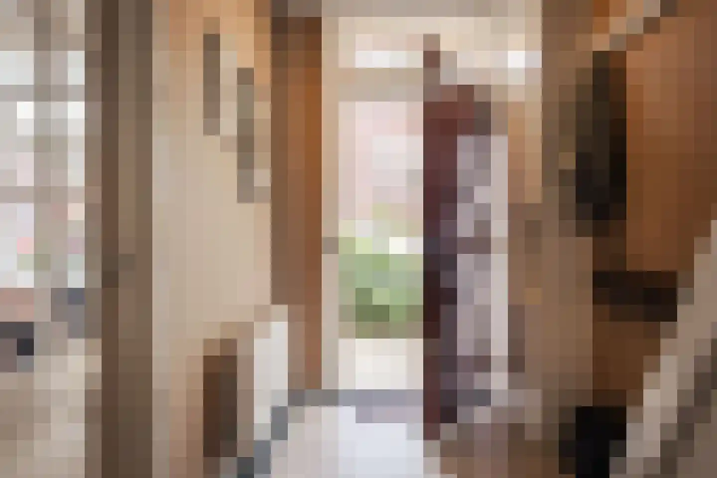 Vorsterman van Oyenstraat 5 Haarlem thumbnail 46