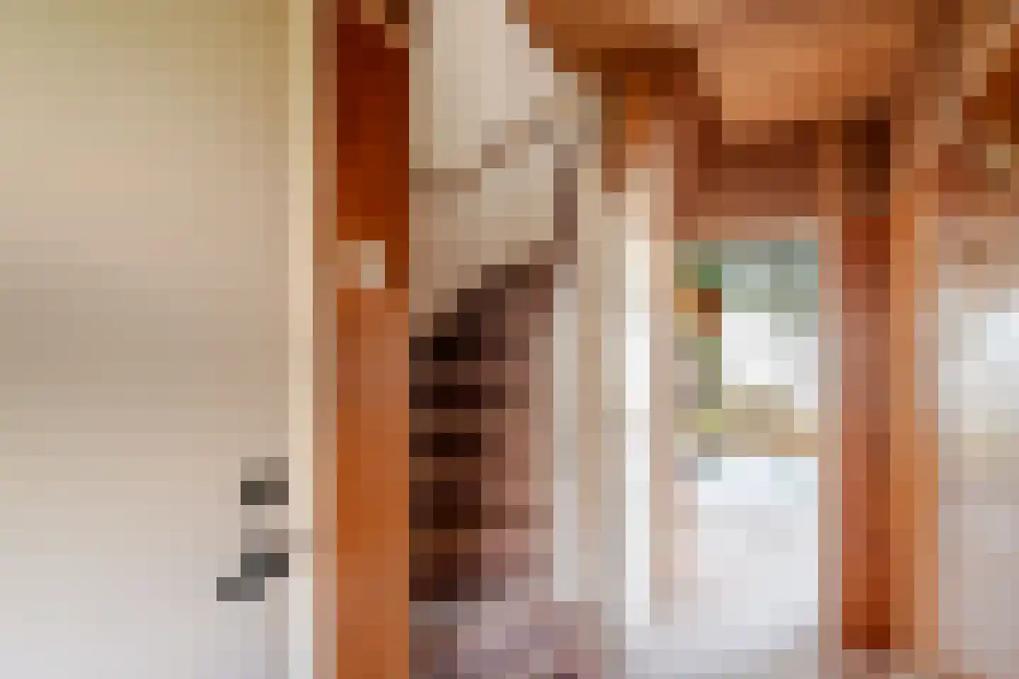 Vorsterstraat 21 Rheden thumbnail 4