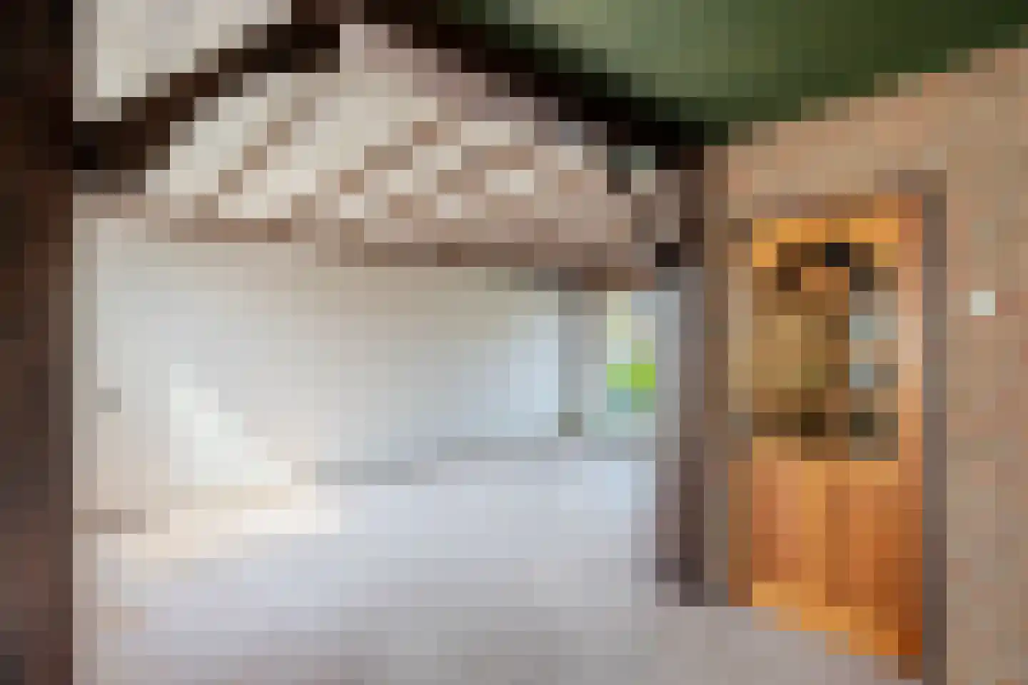 Vorsterstraat 21 Rheden thumbnail 6