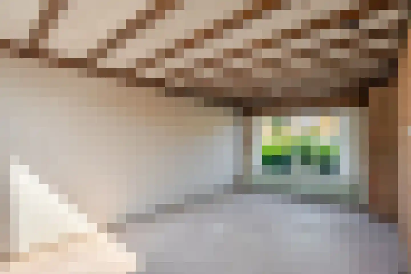 Vorsterstraat 21 Rheden thumbnail 7