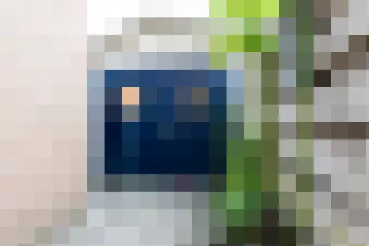 Vorsterstraat 28 Rheden thumbnail 23