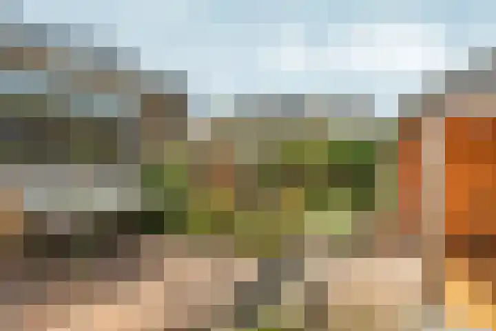 Vorsterstraat 29 Rheden thumbnail 34