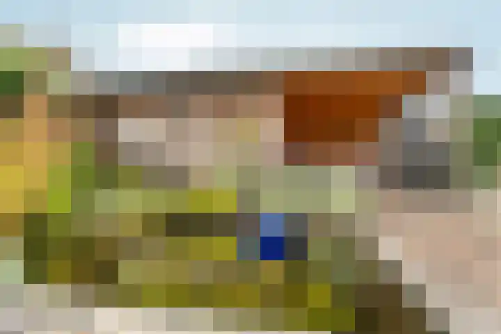 Vorsterstraat 29 Rheden thumbnail 36