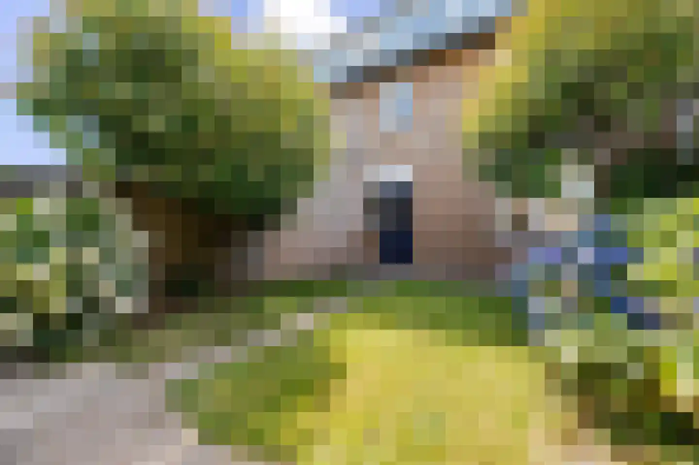 Vorsterstraat 30 Rheden thumbnail 23