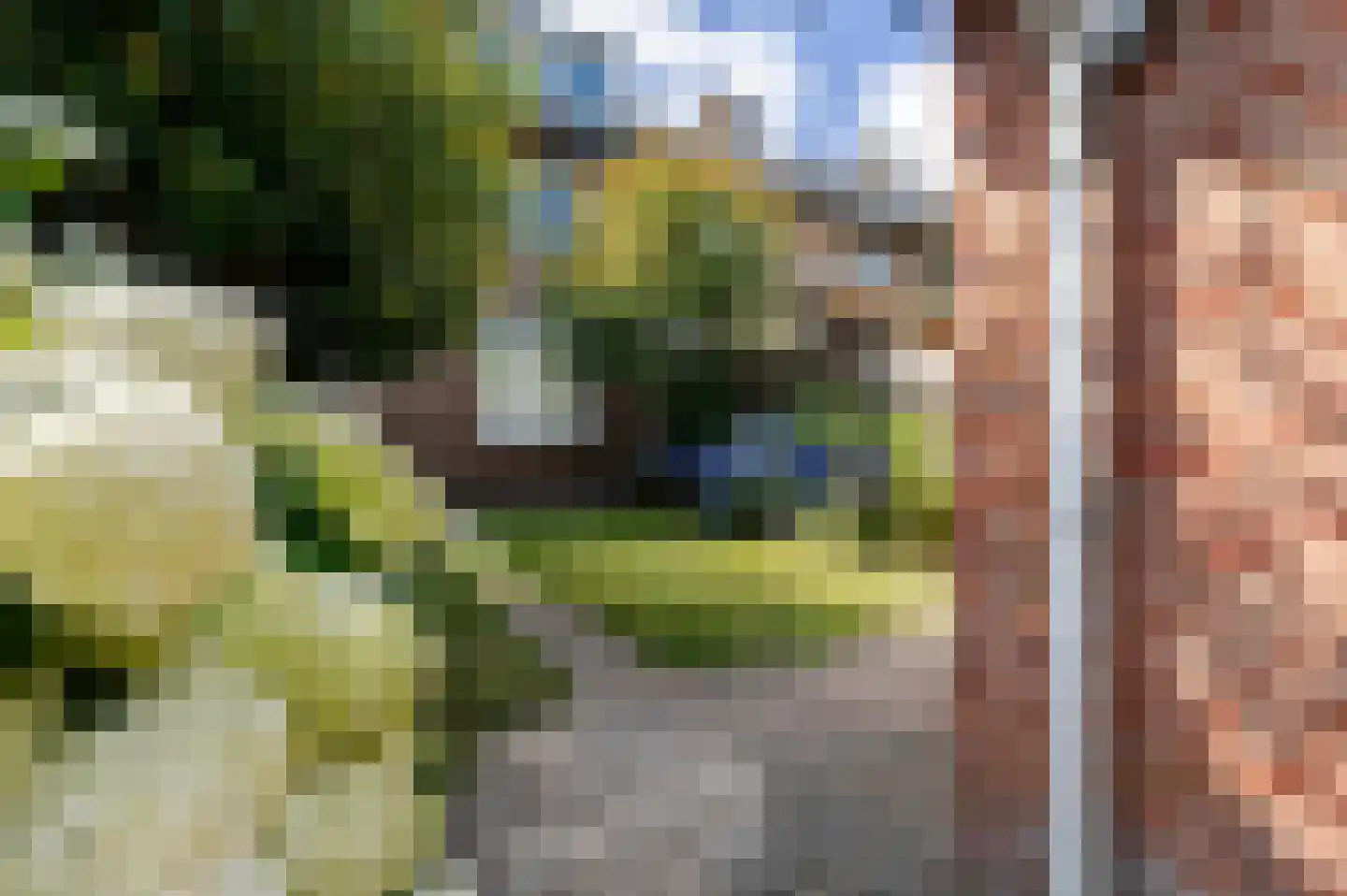 Vorsterstraat 30 Rheden thumbnail 24