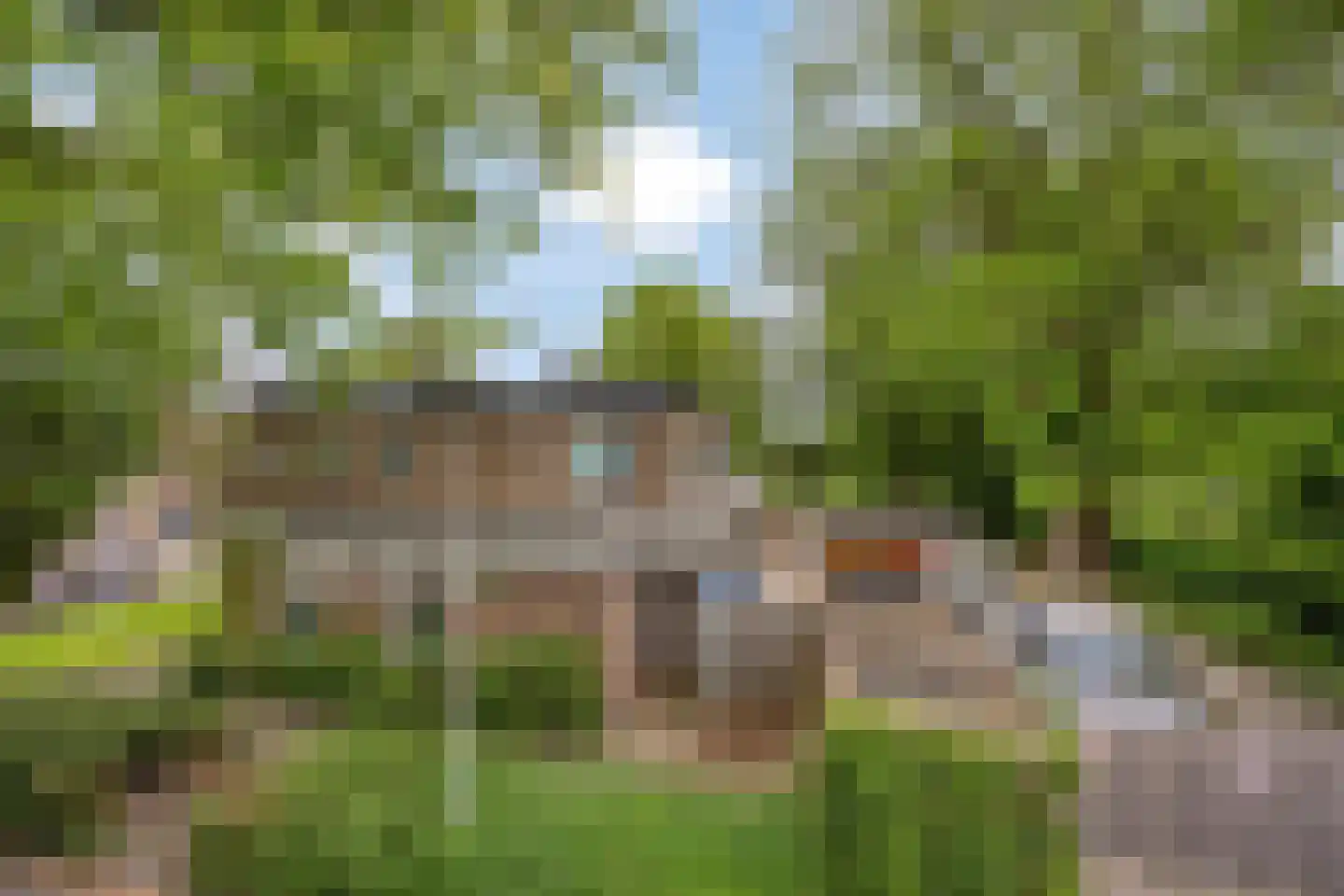 Vorstmanstraat 57 Gouda thumbnail 24
