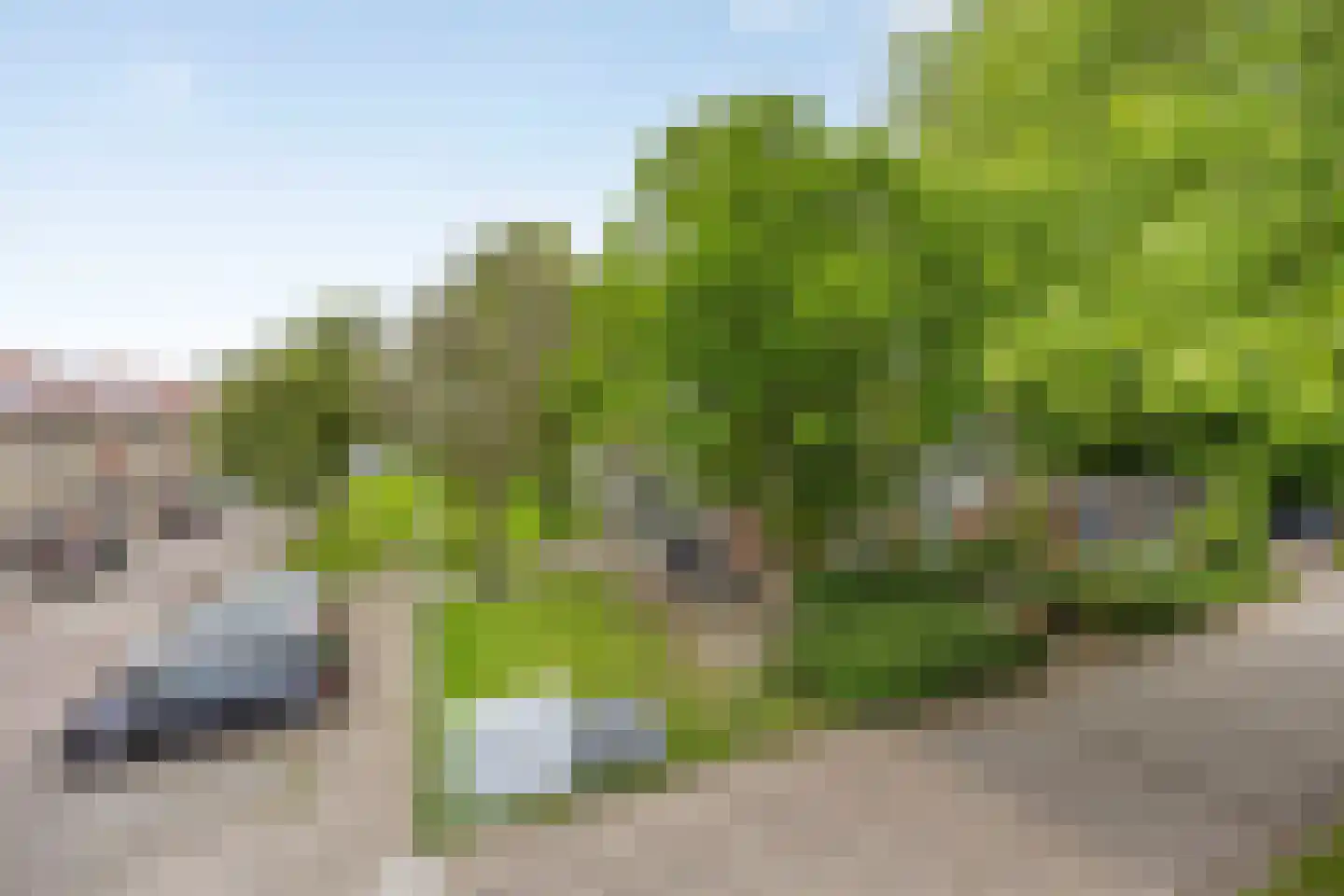 Vorstmanstraat 57 Gouda thumbnail 25