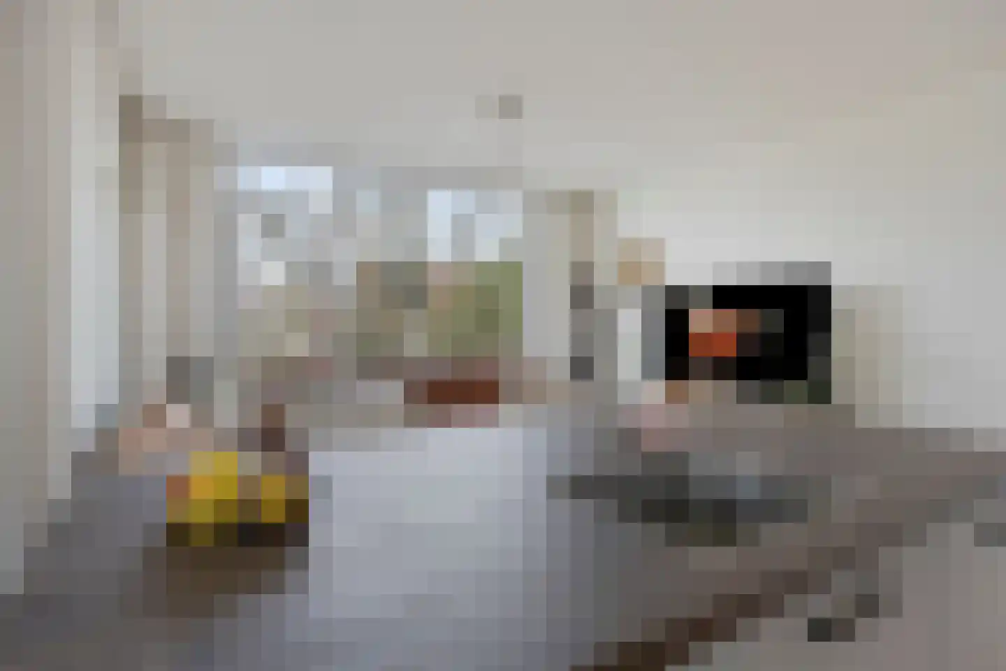 Vorstmanstraat 57 Gouda thumbnail 8