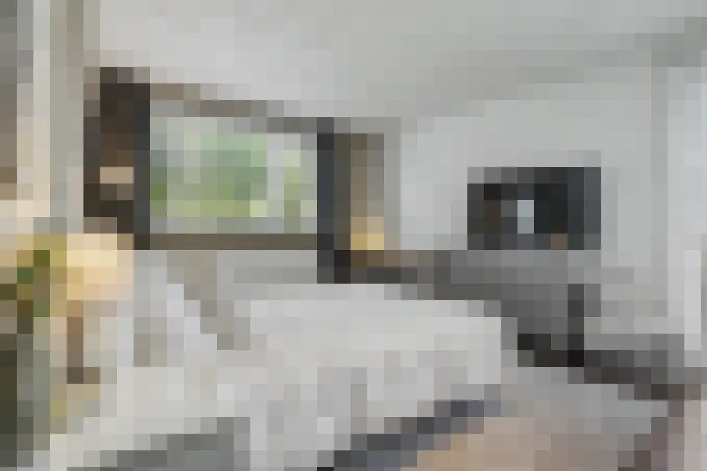 Vorstweg 15 Velden thumbnail 25