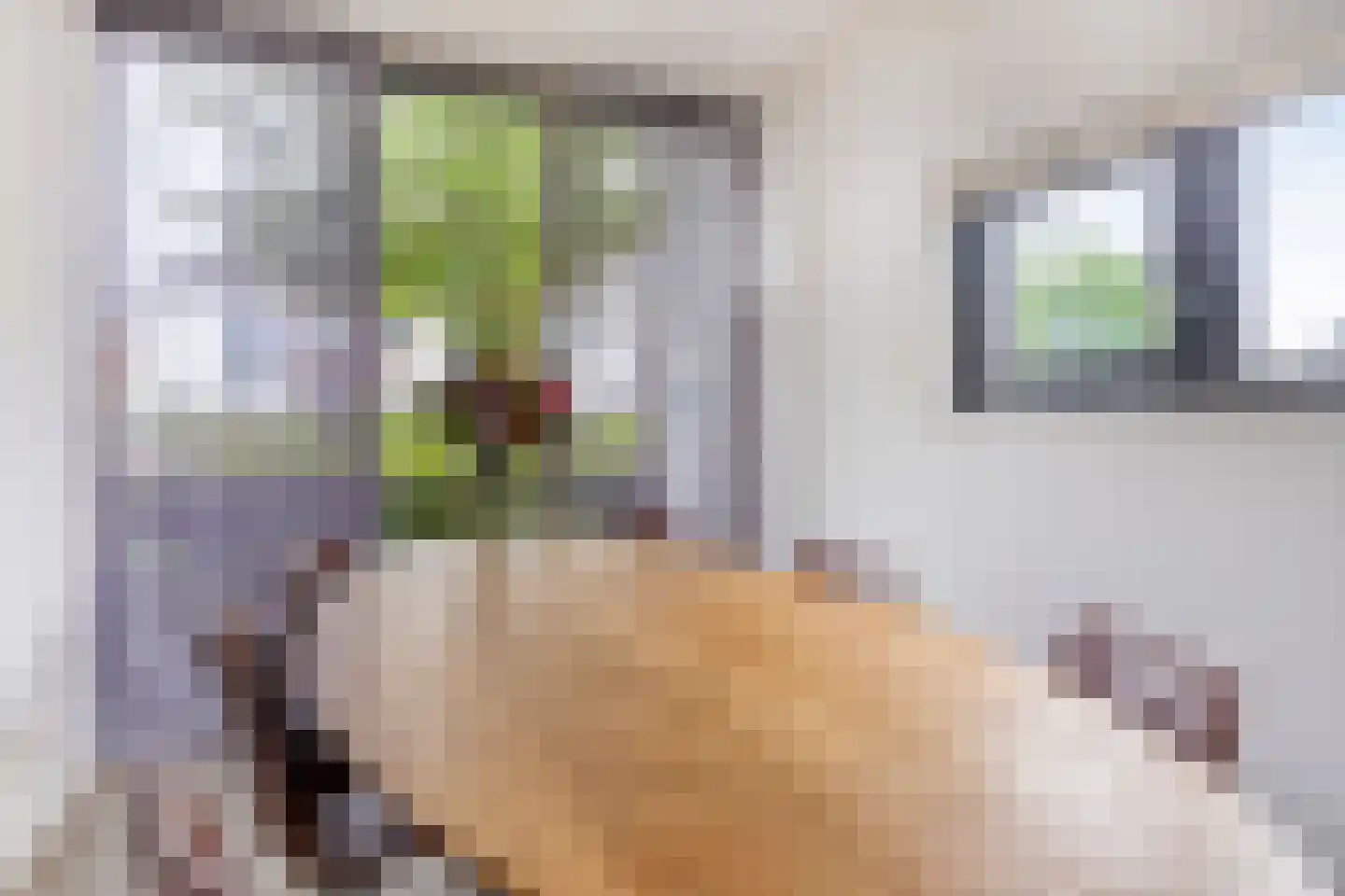 Vos 49 Veldhoven thumbnail 4