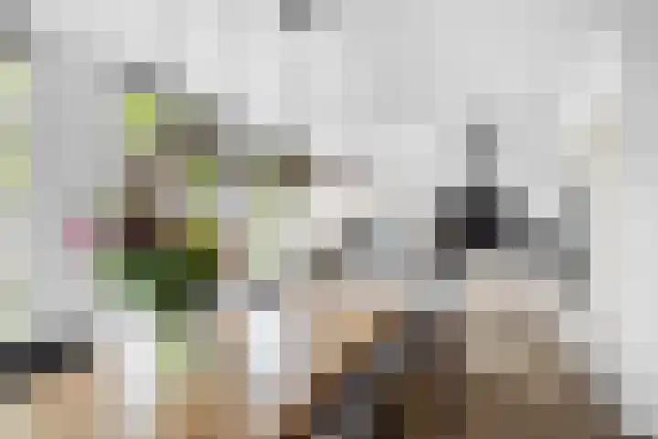 Vos 65 Veldhoven thumbnail 22
