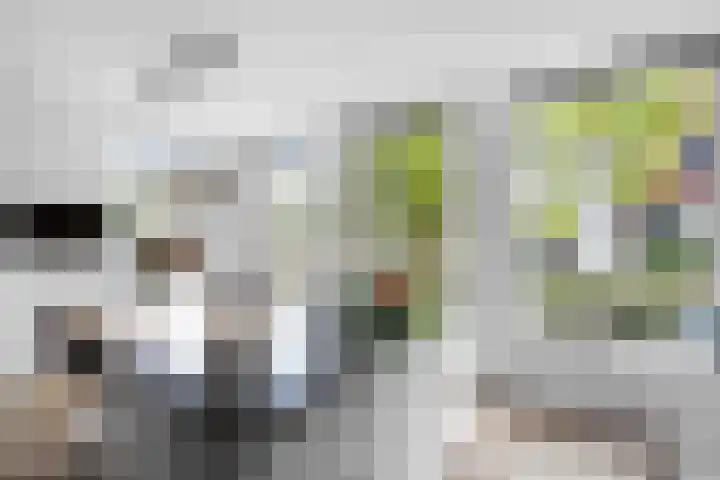 Vos 65 Veldhoven thumbnail 29