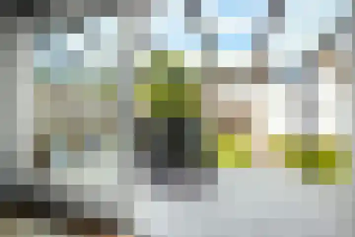 Vos 65 Veldhoven thumbnail 31
