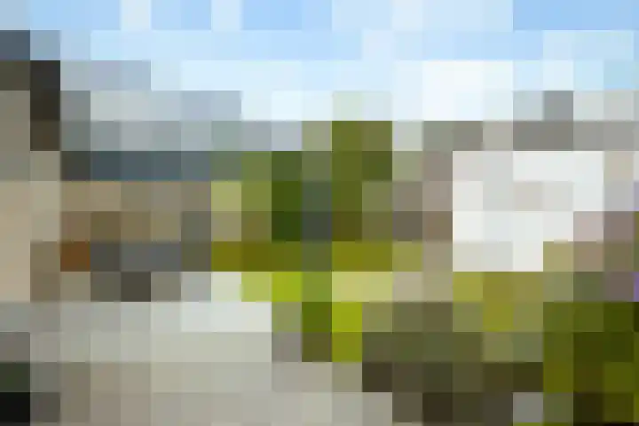 Vos 65 Veldhoven thumbnail 32