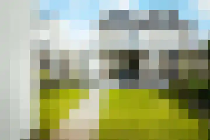 Vos 65 Veldhoven thumbnail 35