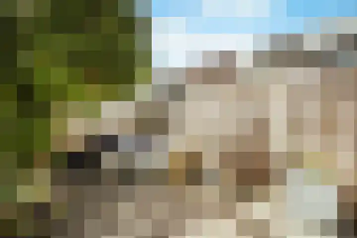 Vos 65 Veldhoven thumbnail 37