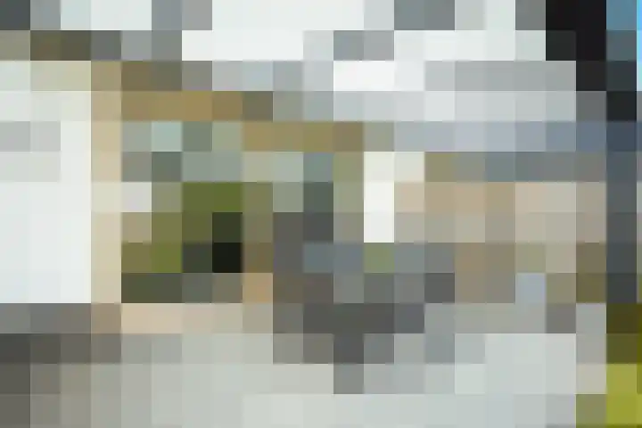 Vos 65 Veldhoven thumbnail 40