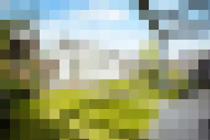 Vos 65 Veldhoven thumbnail 41