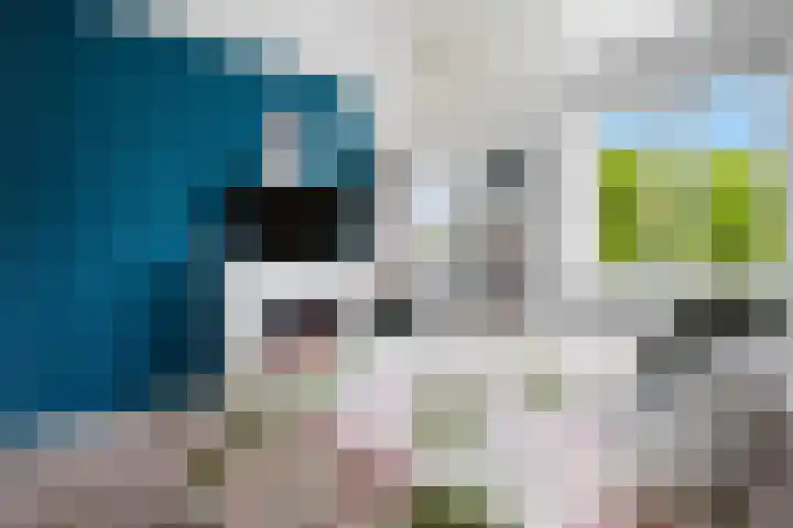 Vos 65 Veldhoven thumbnail 54
