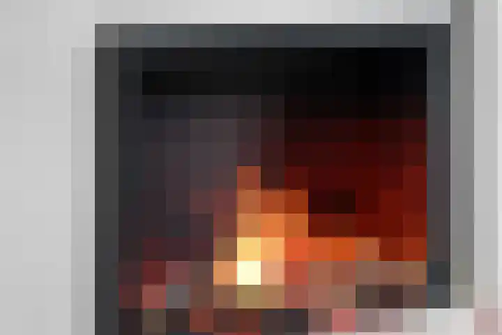Vos 65 Veldhoven thumbnail 55