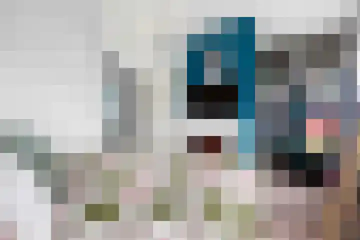 Vos 65 Veldhoven thumbnail 58