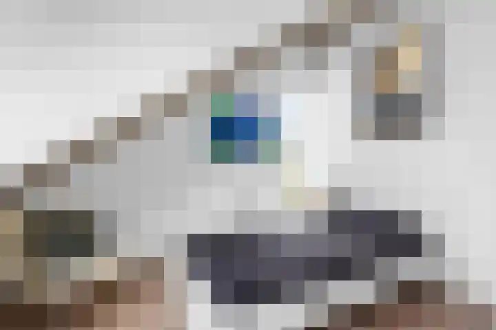 Vos 65 Veldhoven thumbnail 75
