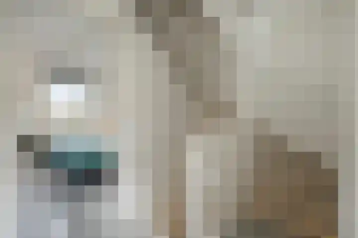 Vos 69 Veldhoven thumbnail 29