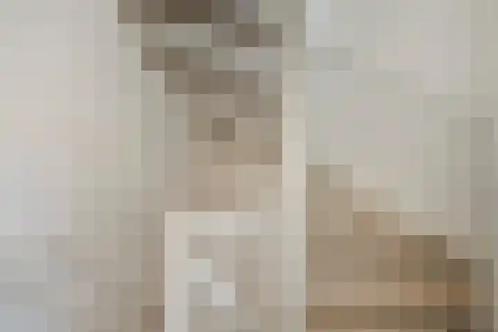 Vos 69 Veldhoven thumbnail 30