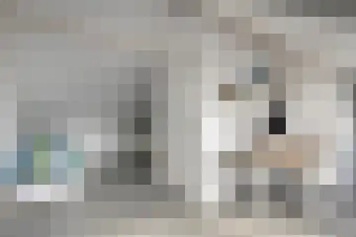Vos 69 Veldhoven thumbnail 31