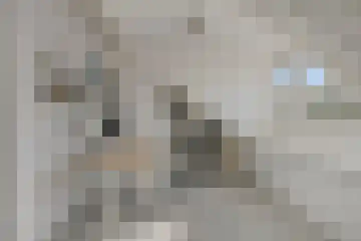 Vos 69 Veldhoven thumbnail 32