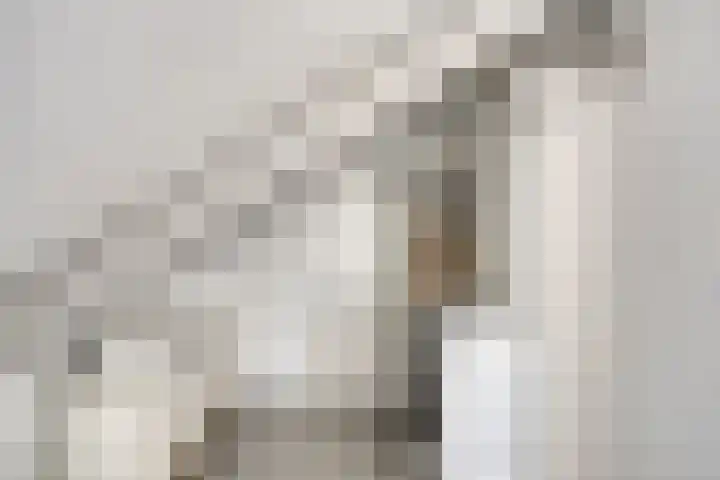 Vos 69 Veldhoven thumbnail 33